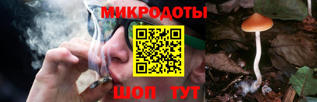 Псилоцибиновые грибы ЛСД Кунгур